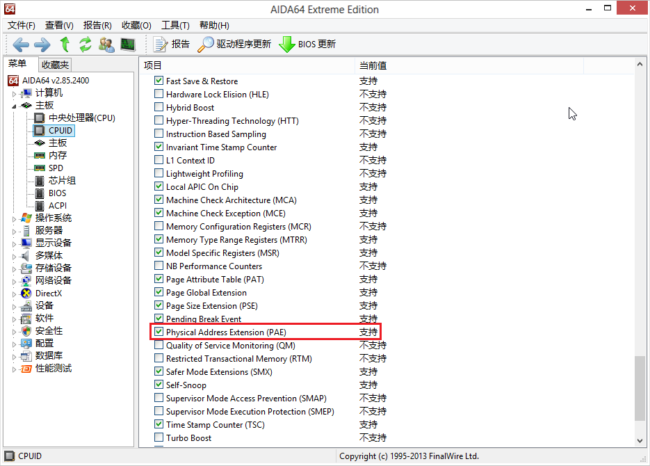 AIDA64 CPU PAE 支持检测